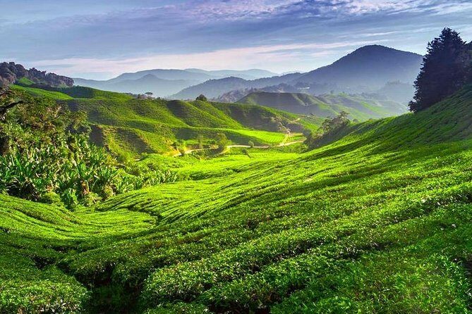Kerala Honeymoon Special Package with Private Houseboat - Price and value: what $600 per person covers