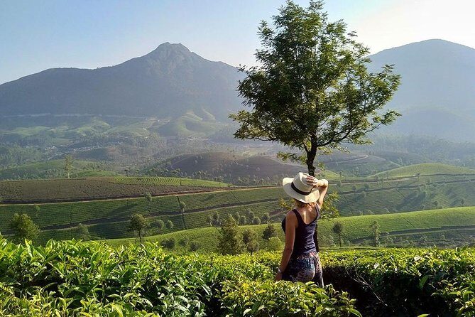 Kerala Honeymoon Special Package with Private Houseboat - Day 2: Eravikulam/Nilgiri Thar country, Echo Point, and a dam with boating