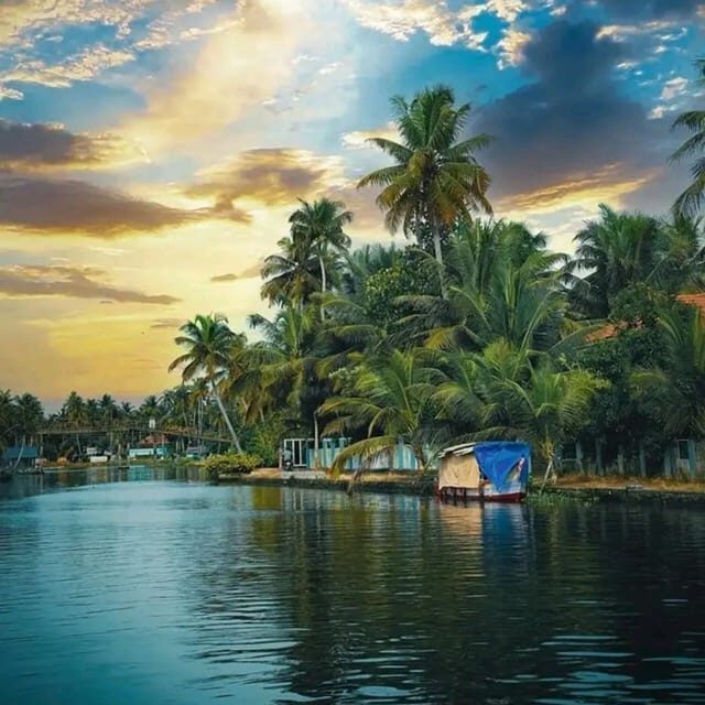 Kochi: Backwater Exploration in Village: Free Pickup & Drop - Narrow Canal Time on an Open Country Boat (Full-Day Option)