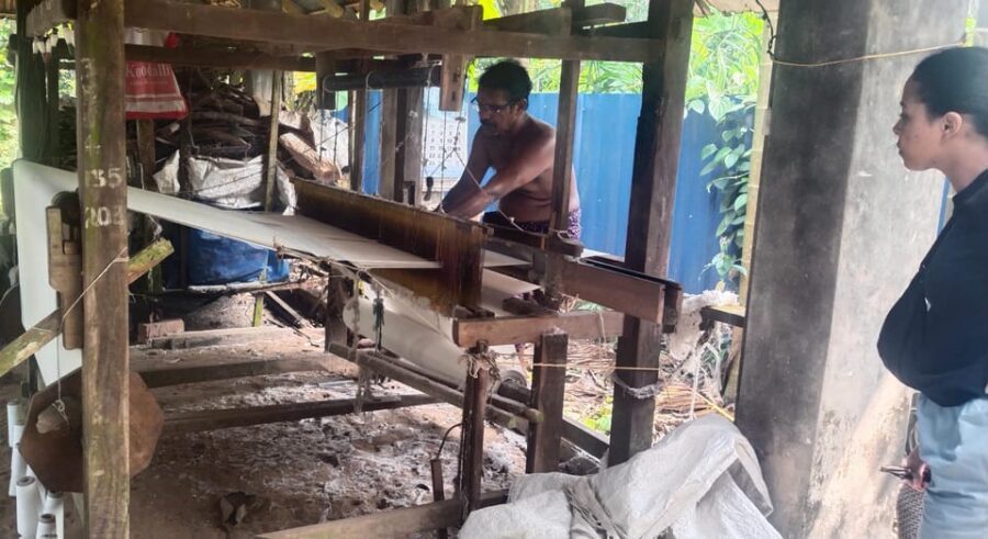 Kochi: Backwater Exploration in Village: Free Pickup & Drop - Price and Value: What $63 Covers (and What It Doesn’t)