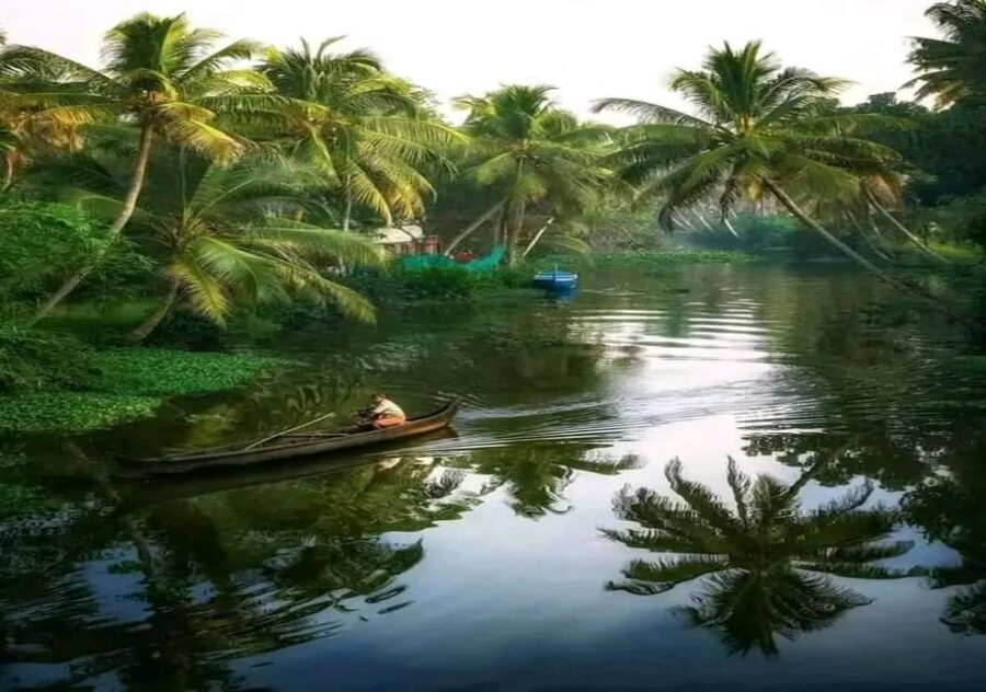 Kochi: Backwater Exploration in Village: Free Pickup & Drop - Who This Kochi Backwater Tour Suits Best