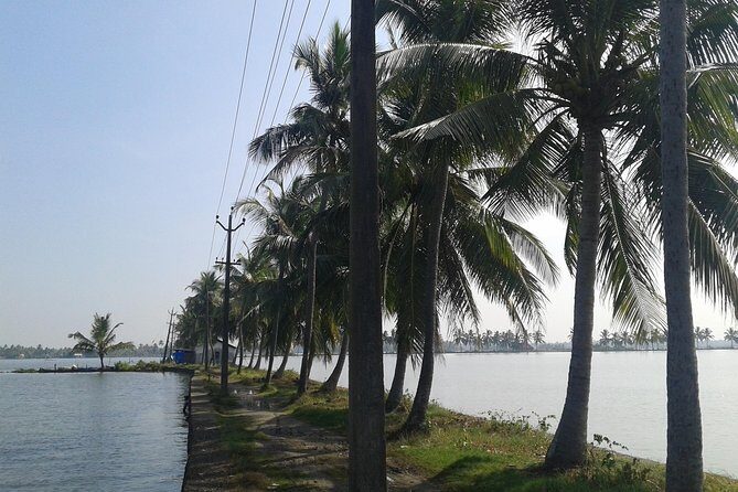 Kochi Village Life Experience tour - The Real Tour of Kochi ! - Key Points You’ll Care About