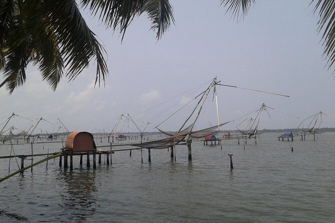 Kochi Village Life Experience tour - The Real Tour of Kochi ! - Price and Logistics: What $25 Covers (and Why It’s Good Value)