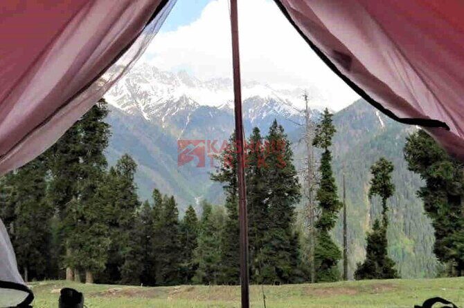 Kolahoi Glacier Trek - Price and value: what $349 covers (and what it doesn’t)