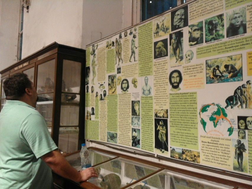 Kolkata: Guided Heritage Walking Tour - Heat, timing, and walking comfort: how to make the tour feel easier
