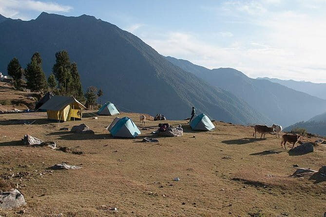 Kuari Pass Trek- 8 Days - Rishikesh start: where your trek life begins at 8:00am