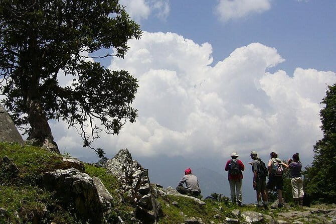 Kuari Pass Trek- 8 Days - Chefna to Ghuni: the first altitude lesson (without panic)
