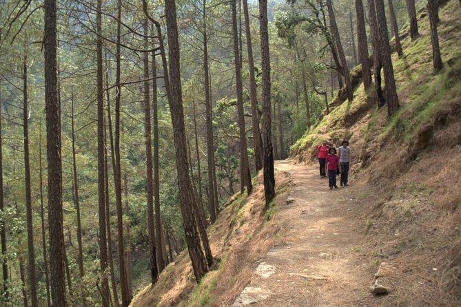 Kumaon/Binsar Sanctuary Walking Holiday - Day-by-day: what you’re doing and why it’s worth your time