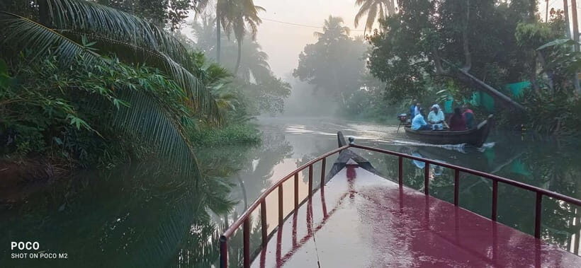 Kumarakom: Sunrise Cruise With Village Life and Local Food - Toddy tapping: coconut sap, skilled climbers, and the Kerala morning drink story