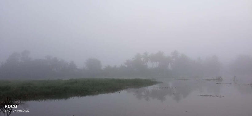 Kumarakom: Sunrise Cruise With Village Life and Local Food - Fishing nets, chai stops, and how the cruise turns into a food morning