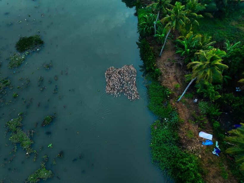 Kumarakom: Sunset Cruise with Village Life and Local Food - Village Life Isn’t Just a Photo Op