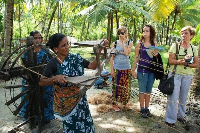 Kumbalangi Village Sightseeing Tour - Backwater time and boat rides: how to get the best views