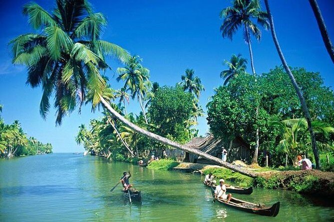 Kumbalangi Village Sightseeing Tour - Who this Kumbalangi tour suits best (and who might prefer something else)