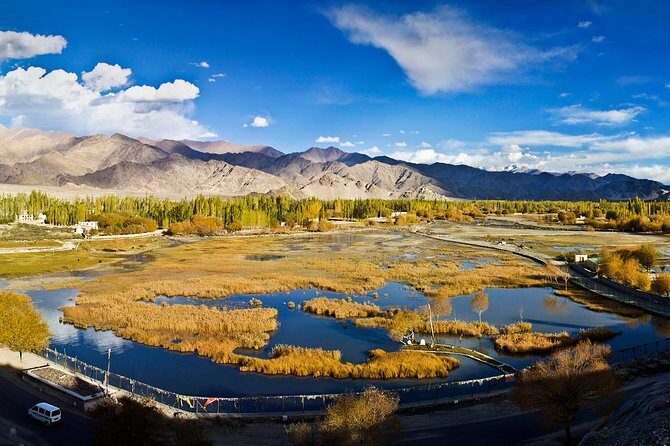 Ladakh 5-Star Premium Tour 7 Days - Leh First Day: Acclimatization, Market Walk, and Why Slow Starts Matter