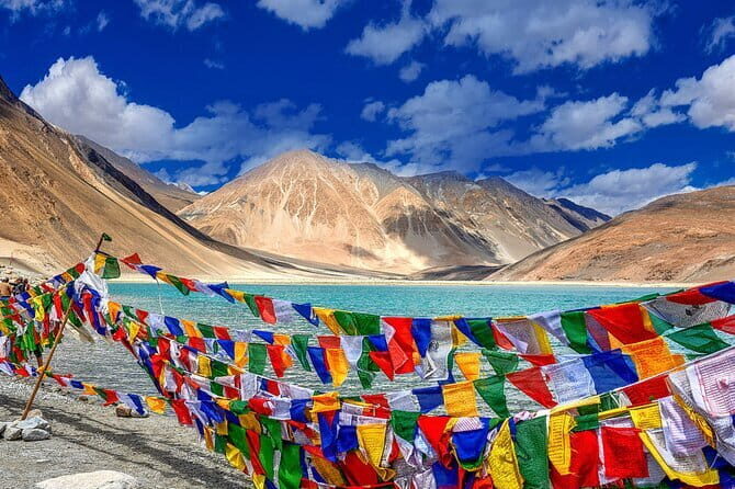 Ladakh Mesmerising Tour - Lodging and Food: Comfortable Base, Camp Nights, and Real Coordination