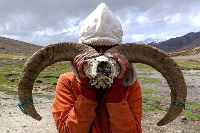 Ladakh One Day Trek- Gyamtsa to Phyang Village - Why Gyamtsa to Phyang works so well for a one-day trek