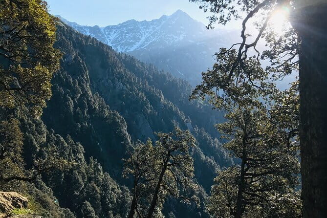 Laka Glacier Trek with Manu Adventures India - Triund + Laka Got Glacier: why this route is more fun than it looks on paper