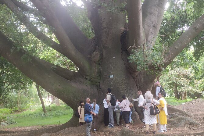 Lalbagh Botanical Garden Early Morning Walk + Breakfast at MTR - Kempegowda Tower area: shade, sculptures, and a tree-lined boulevard vibe