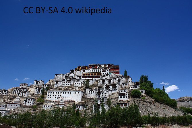 Leh Monastry Half Day Tour - Key things to know before you go