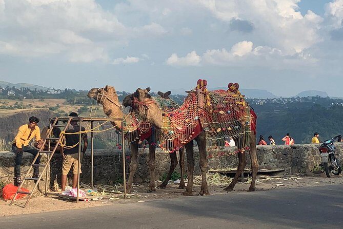 Lonavla Hill Station Tour - Ryewood Park: tall trees and a quiet Shiva temple break