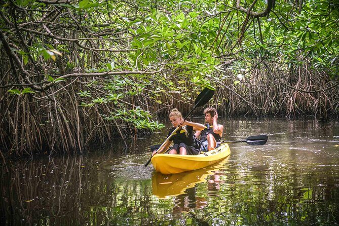 Madu River Sunrise Mangrove Kayaking - Snacks on the water: small details that make the morning work