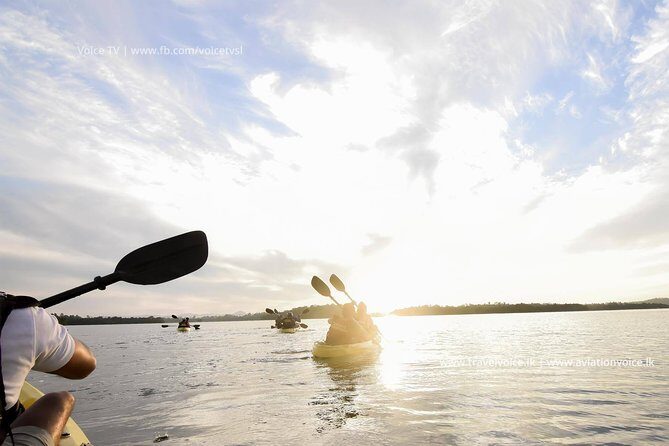 Madu River Sunrise Mangrove Kayaking from Bentota - Key things to know before you go