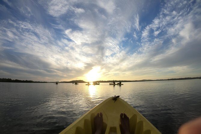 Madu River Sunrise Mangrove Kayaking from Bentota - Small-group size (max 15): why it matters on water