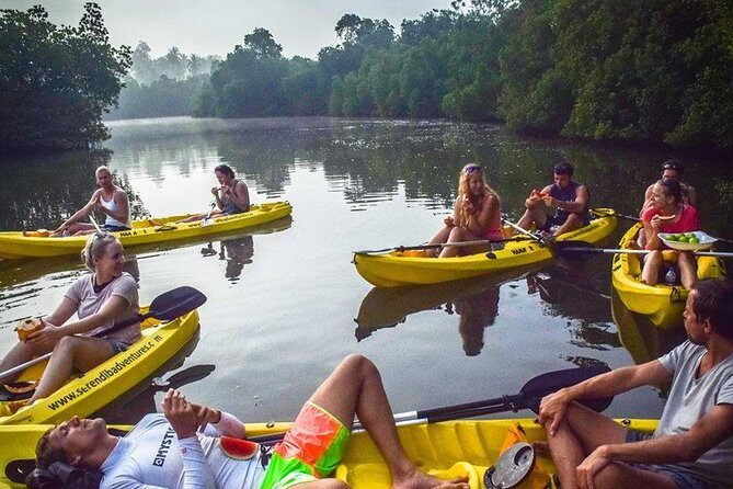 Madu River Sunrise Mangrove Kayaking from Bentota - Safety and backup: what you get for peace of mind