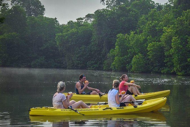 Madu River Sunrise Mangrove Kayaking from Bentota - What’s included for food and how it affects your day