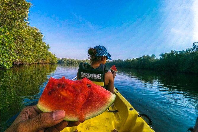 Madu River Sunrise Mangrove Kayaking from Colombo - Where the Morning Starts: River Loft Near Balapitiya