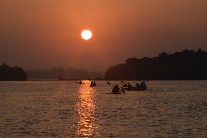 Madu River Sunrise Mangrove Kayaking from Colombo - Launching at Sunrise: Why the Dawn Light Is the Whole Point