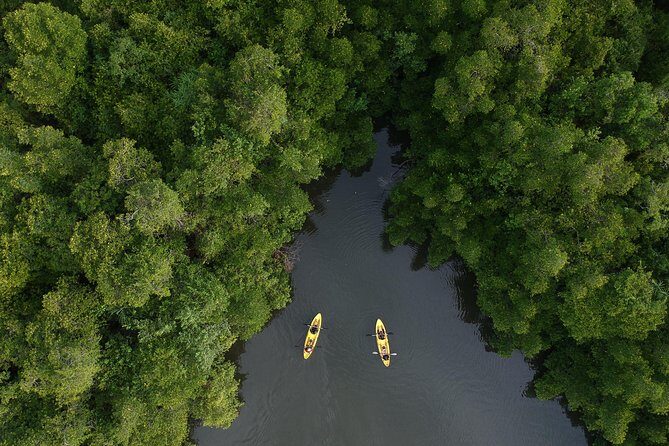 Madu River Sunrise Mangrove Kayaking from Colombo - Snacks and Drinks: Small Comforts That Keep the Morning Nice