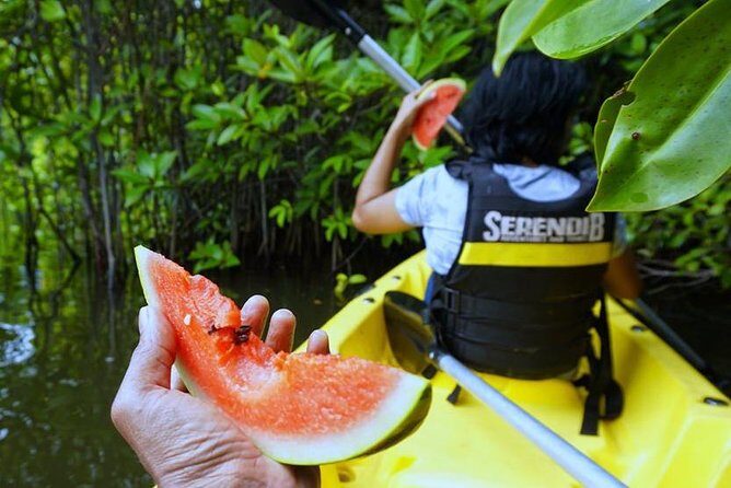Madu River Sunrise Mangrove Kayaking from Colombo - Price and Value: What $150 Really Buys You