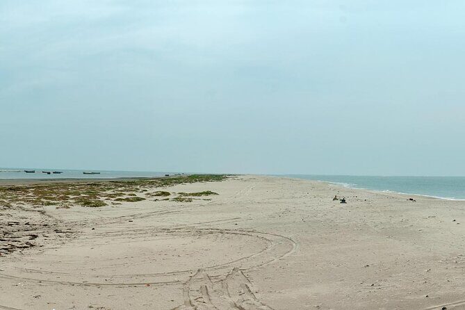 Madurai to Rameswaram Full-Day Tour - What Makes This Tour Work Well (and for Whom)