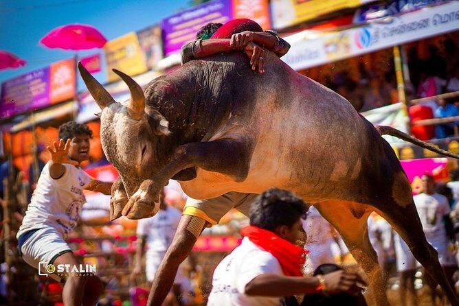 Madurai to Rameswaram Full-Day Tour - Lunch at Hyatt Place Rameshwar: Pick Your Own Fuel