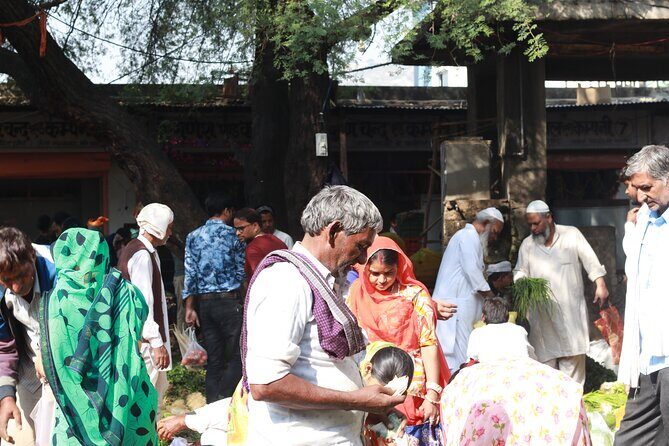 Magical Walk of Jaipur - Meeting point and timing: 9:00am starts matter