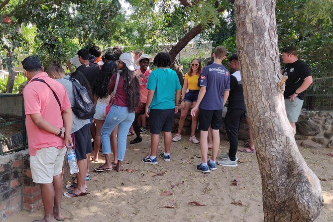 Mahabalipuram walking tour by certified travel company - Pancha Pandava Cave: the largest cave-temple stop