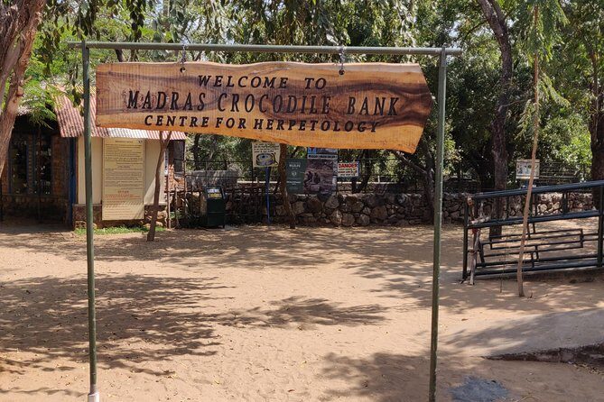 Mahabalipuram walking tour by certified travel company - Arjuna’s Penance: the relief that’s basically a long sculpture