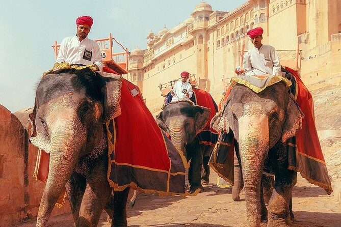 Majestic Golden Triangle With Varanasi - What kind of trip is this, really?