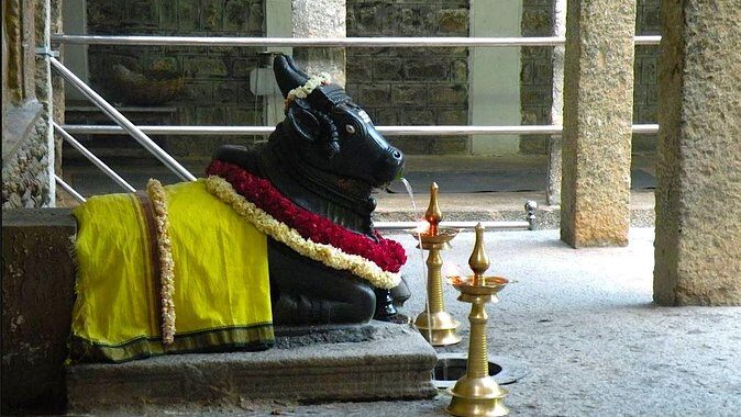 Malleswaram heritage walk, an immersive walking tour in Bangalore - Malleswaram’s Morning Streets: The Best Time to Get Oriented