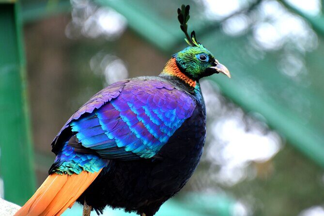 Manali Tour Package - Key Points Worth Knowing
