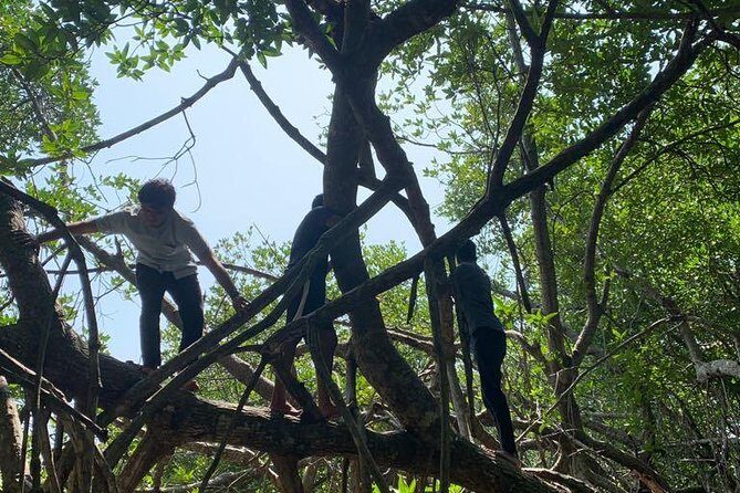 Mangrove Adventure - Weather and water conditions: the one variable you should respect