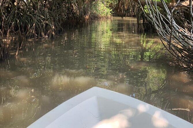 Mangrove Adventure - Who this trip suits best (and who should think twice)