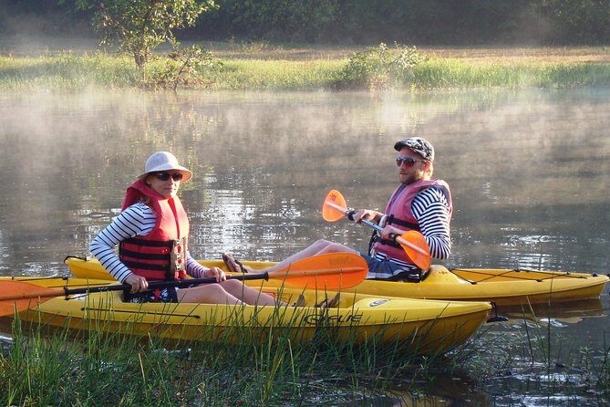 Mangroves Magic Goa Kayaking Experience - What You’ll See While Gliding Through Mangroves