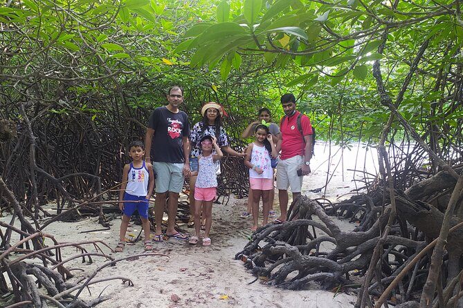 Marine Trail - Mangroves, Seagrass, and Reef Habitats You Can Actually See Up Close