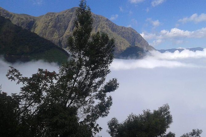 Meesapulimala Sunrise trek( By Munnar Info) - Price and value for a private sunrise hike from Munnar