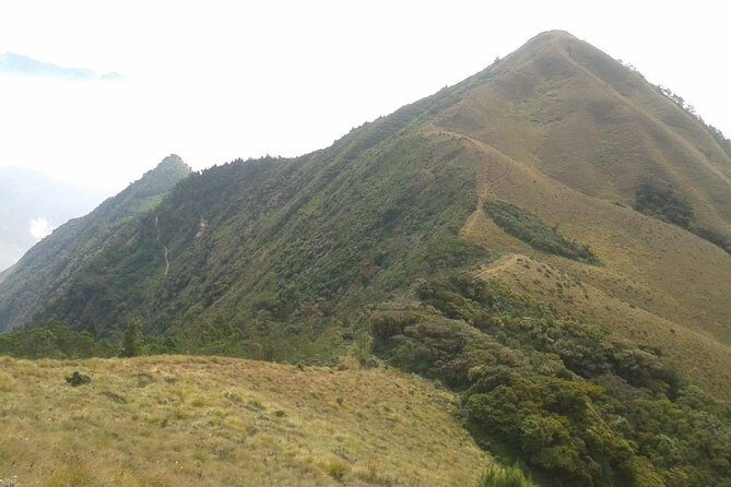 Meesapulimala Sunrise trek( By Munnar Info) - Trail variety you can actually feel: forests, pine, meadows, and rhododendron valleys