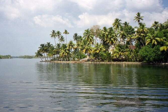 Midday Cruise with Village Life - Key Things I’d Watch For
