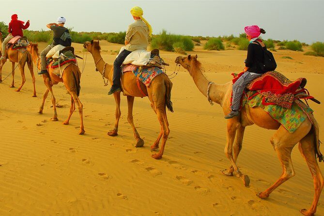 Midnight Mirage Experience (Non Touristic) - Key Things You’ll Notice on This Midnight Mirage Safari