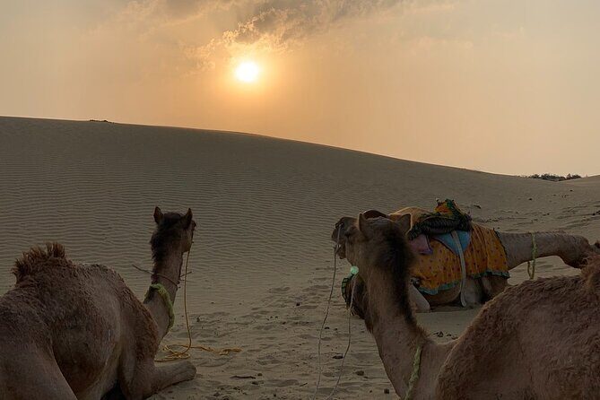 Midnight Mirage Experience (Non Touristic) - Jeep Ride In, Camel Ride Out: The Dunes Portion That’s Really the Point